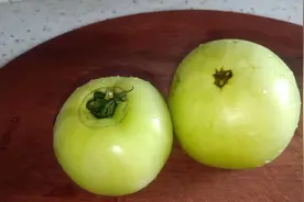 老一辈的经验，青番茄下锅之前多做1步，酸辣开胃，吃起来也放心视频封面