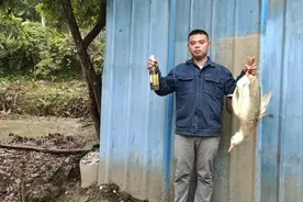 鸭子拔毛用这两种方法，啤酒加它，好拔又快又干净