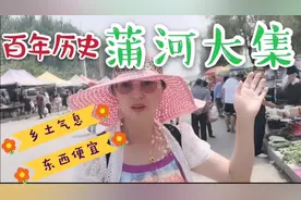 百年历史蒲河大集！买到沈阳最便宜的最甜的葡萄！实拍15日早10点