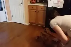 金毛看见刚出生的小主人回家，一个举动暖化主人的心