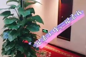 检测消火栓按钮，手动报警器在图形显器的位置是否正确！视频封面