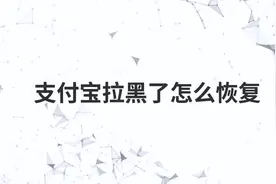 支付宝拉黑了怎么恢复