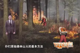 凉山森林大火扑灭全纪实 三种灭火过程首曝光视频封面