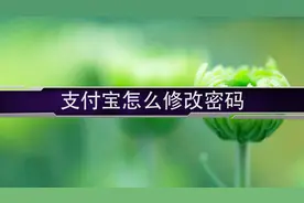支付宝怎么修改密码？