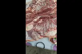 师傅讲解烧烤食材之羊肉部位口感，羊板筋，羊内腰，羊外腰，羊鞭