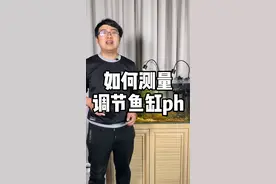 鱼缸PH值很重要，如何调节PH值，你知道吗？视频封面