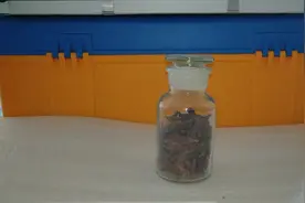 每日一种中药—荜拨。牙疼圣药