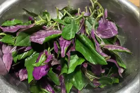 血菜   炝炒紫背菜怎么做？分享一招，口感脆嫩，简单美味