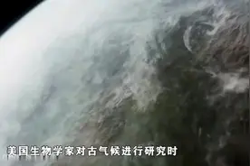 氧气含量飙升！石炭纪是个浓绿的时代，世界50%的煤都来源于此！视频封面