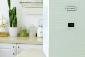 美固双核数显版20L小冰箱视频封面