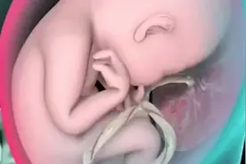 剖腹产究竟疼不疼？3D动画模拟全过程，看完心疼不已，当妈不易！视频封面