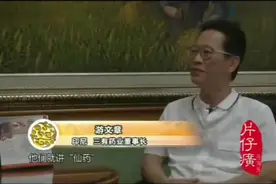 片仔癀在海外，消炎止痛、保肝护肝