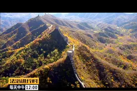 知道什么是北京“柠檬黄”吗？答案在这里