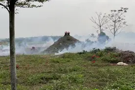 海南徐氏祭祖活动 缅怀过琼始祖徐必达公图片