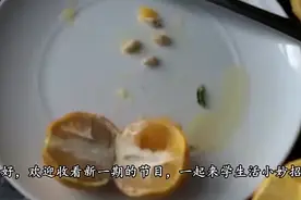 橘子籽可是个宝，不要再丢掉了，没想到还有这么大的用途视频封面