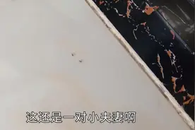 小伙家住二十三楼屋里尽然招蚂蚁，打开柜子一看才知道了原因