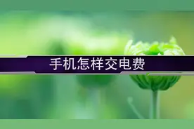 手机怎样交电费?视频封面
