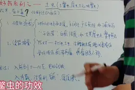 中药土鳖虫的功效与应用介绍