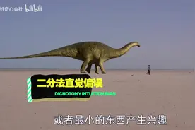 5个世界上最大的东西视频封面