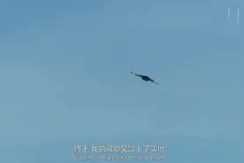 荒野求生：贝爷找到腐烂尸体，上面有蛆却眼前一亮，称富含蛋白质