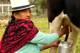 奇闻：印度10岁男孩喝狗奶上瘾，周围流浪狗都被他吸怕了！视频封面