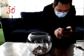 太损了！为了口感好 黑心商贩炒瓜子竟然使用明矾