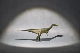 用纸来折一条恐龙，它叫做虚形龙，是已知最早的恐龙之一