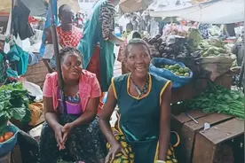 坎培拉菜市场，品种繁多的蔬菜，还有一口流利中文的卖菜小妹！