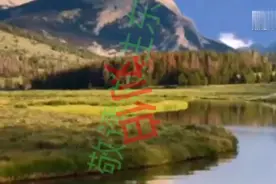 头条号后台最快找到个人中心。视频封面