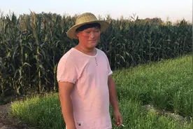 农村二货去摘韭菜花，发现都老了，空手而归。