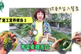 30分钟做好一笼懒人荠菜蒸饺，解锁麦穗饺子包法，小白也能露一手