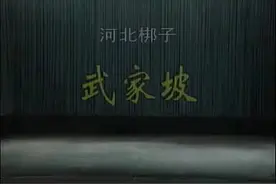 【河北梆子】《武家坡》韩建华（全剧）视频封面