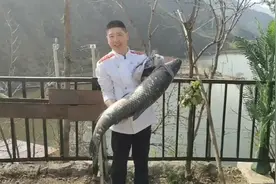 40多斤的大青鱼，看看大厨能做几种吃法，从鱼头开始你别错过哦
