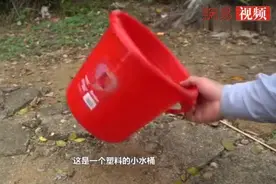 实验：鞭炮扔进装满水的水桶里，会发生什么呢？视频封面