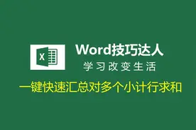 【Excel】一键快速汇总对多个小计行求和，这个技巧真实用！