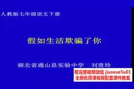 部编语文七下《19假如生活欺骗了你》[刘老师]【市一等奖】优质课