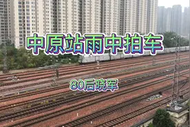 中原站雨中拍车，因降雨，陇海线郑州以西上行列车不同程度晚点下视频封面