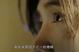 小鲜肉蔡徐坤，鹿晗、胡一天爆学历，没对比就没伤害