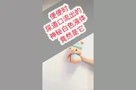 便便时尿道口流出的神秘白色液体竟然是它
