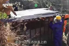 杀人蜂的蜂巢，大到被戏称九层妖塔，你见过吗？视频封面