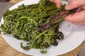 被誉为“山珍之王”的猴腿菜，配上肉丝炒，营养美味，好吃加倍视频封面