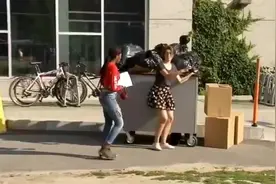 力大无比的狗狗