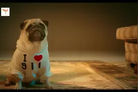 玖壹壹演唱《来个蹦蹦》官方MV，陈嘉桦倾情出演！