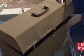 斗鸡威武雄壮，大不同于土鸡。土鸡身高45cm，斗鸡能长到54cm