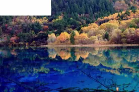 四年级下册语文课文情景朗读迷人的九寨沟西师大版视频封面