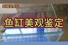 鱼缸观赏面的玻璃胶清理，什么样的才是最美观的样子