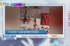 鱼资渔味：手艺人分享木制支架制作经验，流程走完需要三到五天视频封面