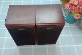 废品站淘到一对音箱免费送，分享一下个人废品站淘货经验视频封面