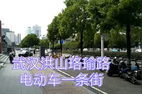 武汉洪山珞喻路电动车一条街视频封面