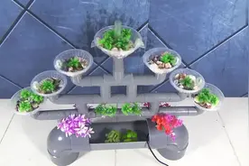 国外牛人用下水管线自制的生态花盆，大家说可以不？视频封面